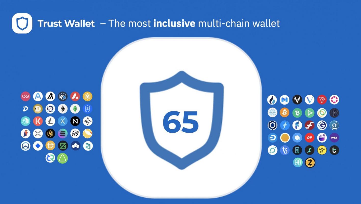 下载Trust Wallet官方版后如何管理资产及确保安全操作要点